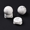 Natural Howlite Display Decorations DJEW-G032-02J-3