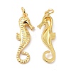 Eco-Friendly Brass Pendants KK-C221-04G-3