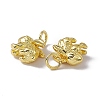 Rack Plating Brass Charms X-KK-C007-17G-4