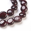 Natural Garnet Beads Strands X-G-F575-18D-2