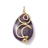 Natural Amethyst Copper Wire Wrapped Pendants PALLOY-JF02598-02-1