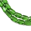 Transparent Glass Beads Strands GLAA-Z018-C17-3