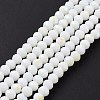 Electroplate Opaque Solid Color Glass Beads Strands LS-EGLA-A044-P1mm-L01-2