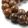 Natural Petrified Wood Round Bead Strands G-F266-08-8mm-5