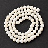 Shell Beads Strands SSHEL-E571-38-4mm-01-5