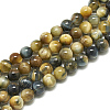 Natural Dream Tiger Eye Beads Strands G-S300-6mm-107A-1