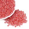 FGB Glass Seed Beads SEED-Q040-08A-08-1