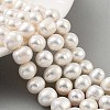 Natural Cultured Freshwater Pearl Beads Strands PEAR-C003-19C-2