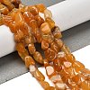 Natural Gemstone Beads Strands G-P497-01E-14-2