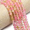Natural Malaysia Jade Beads Strands G-L645-C01-6mm-26-3