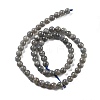 Natural Labradorite Beads Strands LS-G-S333-6mm-035-01-5