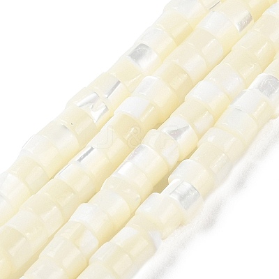 Natural Trochus Shell Beads Strands BSHE-E030-09B-01-1