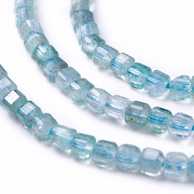 Natural Apatite Beads Strands G-G991-C03-1