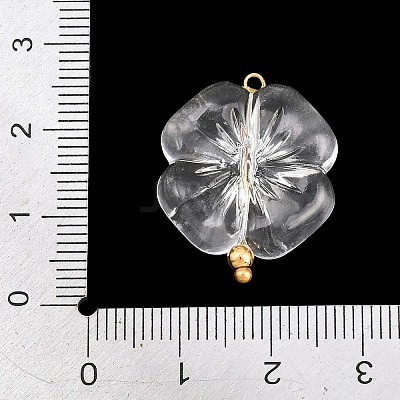 Transparent Acrylic & Stainless Steel Pendants TACR-G051-01G-02-1