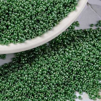MIYUKI Round Rocailles Beads X-SEED-G009-RR0431-1