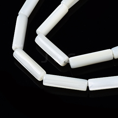 Natural Trochid Shell/Trochus Shell Beads Strands X-SSHEL-S266-020A-03-1