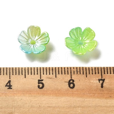 Gradient Color Acrylic Bead Caps OACR-Z028-01C-1
