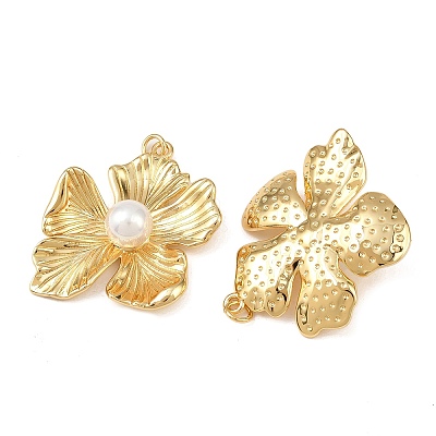 Brass Pendants KK-L255-23G-06-1