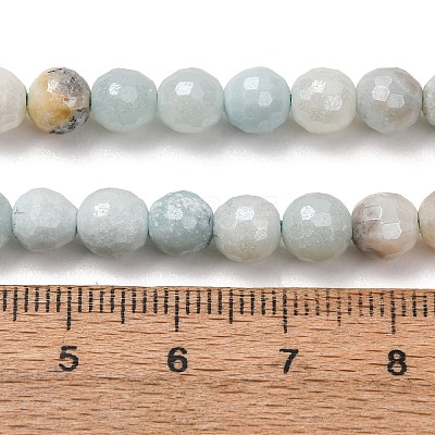 Electroplated Natural Flower Amazonite Beads Strands G-B191-A03-6mm-1