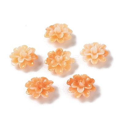 Synthetic Shell Dyed Beads SHEL-C006-01-1