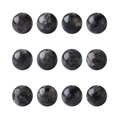 Natural Labradorite Round Beads G-FW0001-02-1