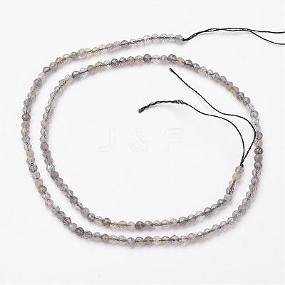 Natural Labradorite Bead Strands G-P213-38-3mm-1