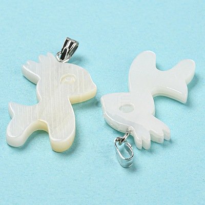 Natural Freshwater Shell Pendants PALLOY-Q462-05P-1