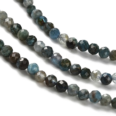 Natural Apatite Beads Strands G-RM2025-A18-3mm-B-1