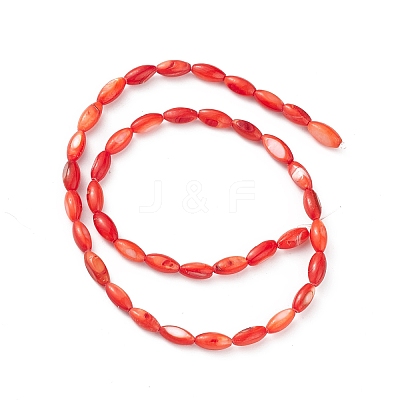 Natural Freshwater Shell Dyed Beads Strands SHEL-M018-13-05-1