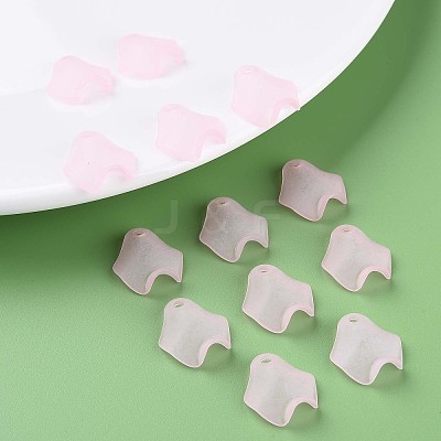 Transparent Acrylic Beads MACR-S373-106-D05-1