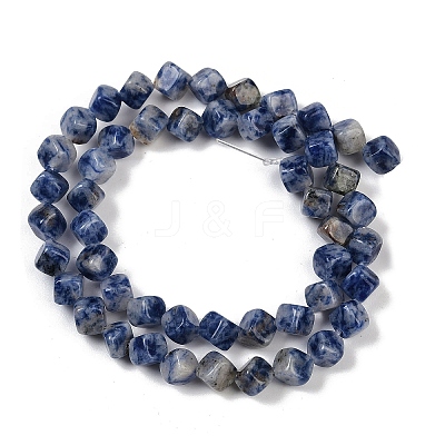 Natural Blue Spot Jasper Beads Strands G-A257-A15-01-1