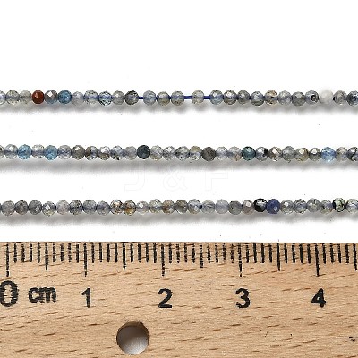 Natural Apatite Beads Strands G-RM2025-A18-2mm-B-1