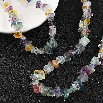 Natural Fluorite Chips Beaded Necklace NJEW-FZ00004-08-1