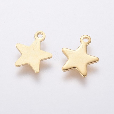 304 Stainless Steel Charms X-STAS-L234-069G-1