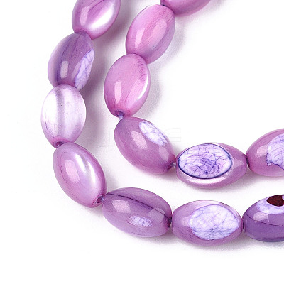Natural Trochus Shell Beads Strands SHEL-K006-19-01D-1