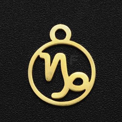 201 Stainless Steel Charms STAS-T014-LA111-10-1