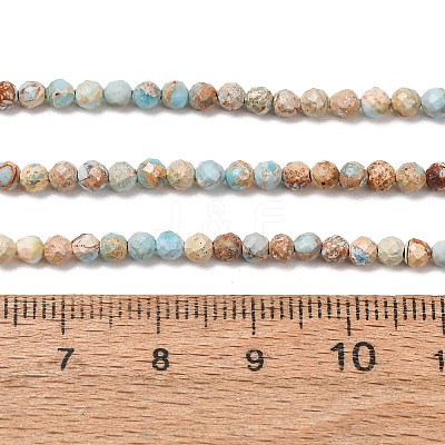 Natural Imperial Jasper Beads Strands G-L578-A14-1