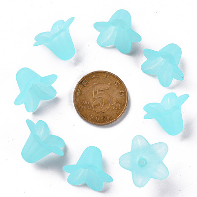 Transparent Acrylic Beads PLF018-13-1