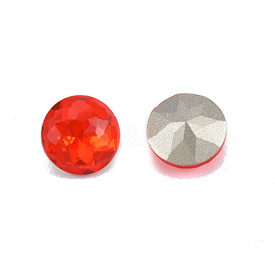 K9 Glass Rhinestone Cabochons MRMJ-N029-13-02-1