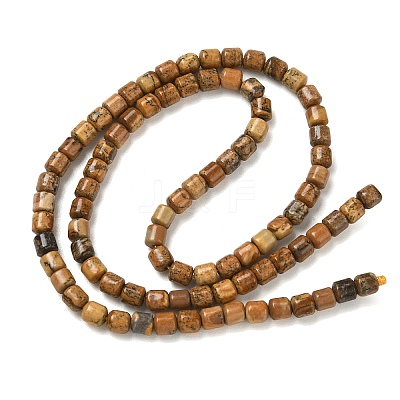 Natural Picture Jasper Beads Strands GG-CBAC70A-A04-1