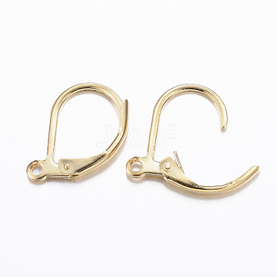 304 Stainless Steel Leverback Earring Findings STAS-E147-53G-1