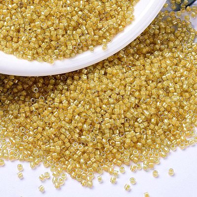 MIYUKI Delica Beads SEED-MY11-DB2041-1