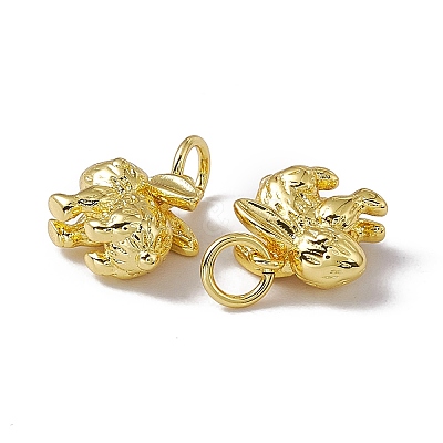 Rack Plating Brass Charms X-KK-C007-17G-1