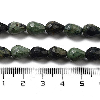 Natural Kambaba Jasper Beads Strands G-P520-B19-01-1