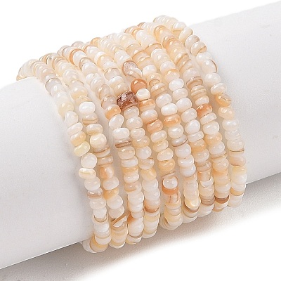 Natural Freshwater Shell Beads Strands SHEL-P017-01A-10-1