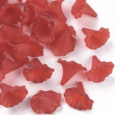 Transparent Acrylic Beads X-BSF796-C12-1