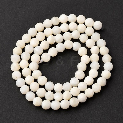 Shell Beads Strands SSHEL-E571-38-4mm-01-1