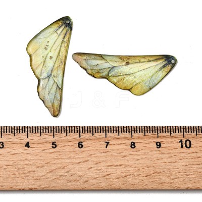 2Pcs Transparent Epoxy Resin Pendants RESI-A044-04C-1