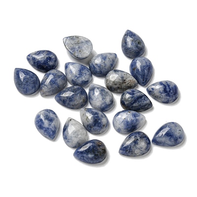 Natural Blue Spot Jasper Cabochons G-Q173-02B-14-1