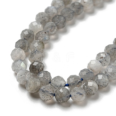 Faceted Round Natural Labradorite Bead Strands G-I156-03-4mm-1